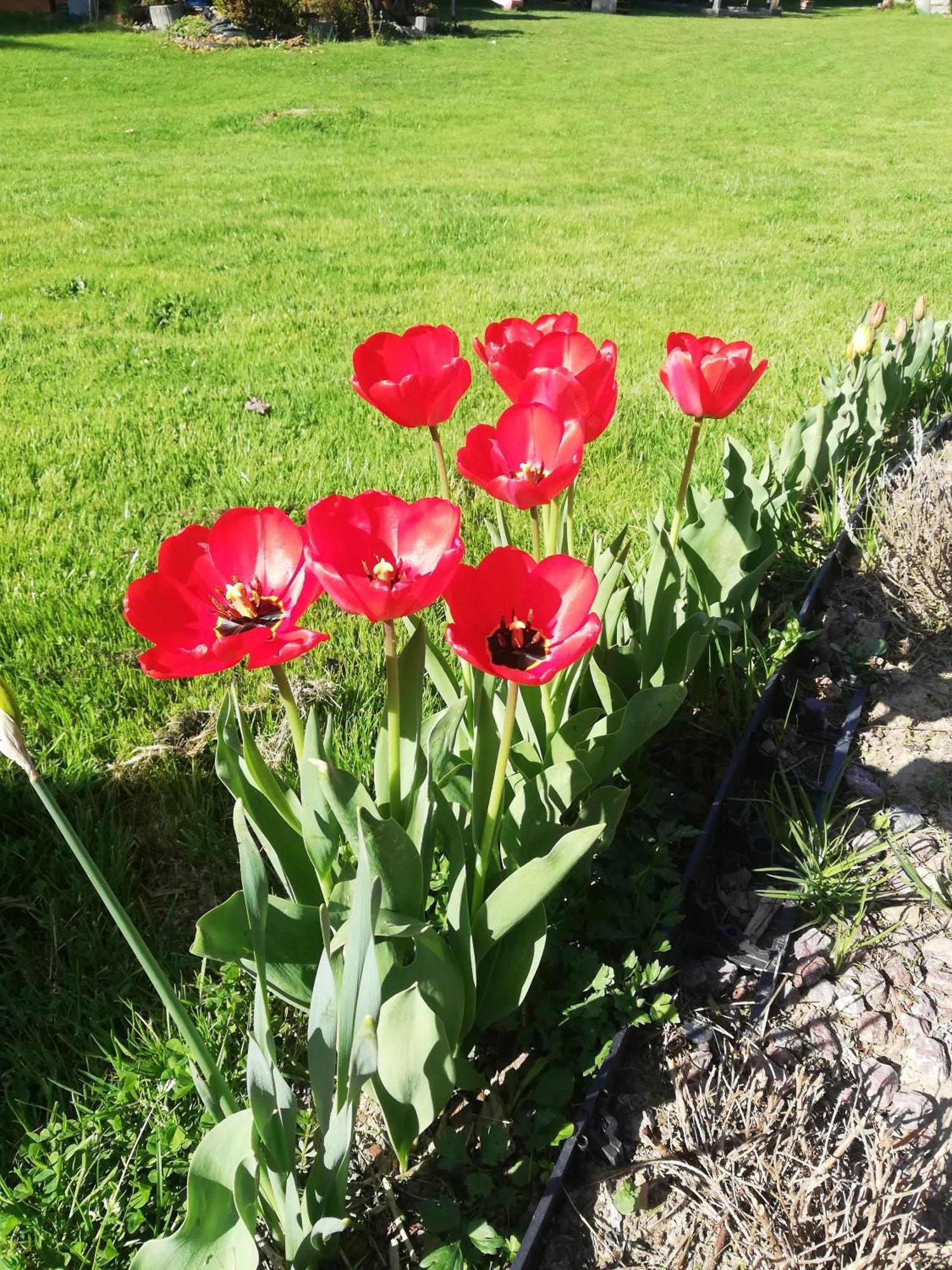 Domki I Pokoje Obok Term Chocholow U Tadka Buitenkant foto